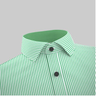 Green Lining Formal Shirt