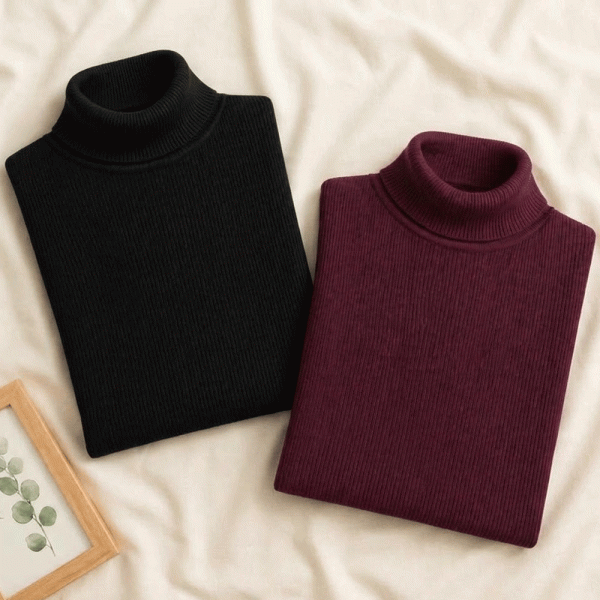 Pack Of 2 Women's High Neck Jumper – Winter Wear | Thestore.pk